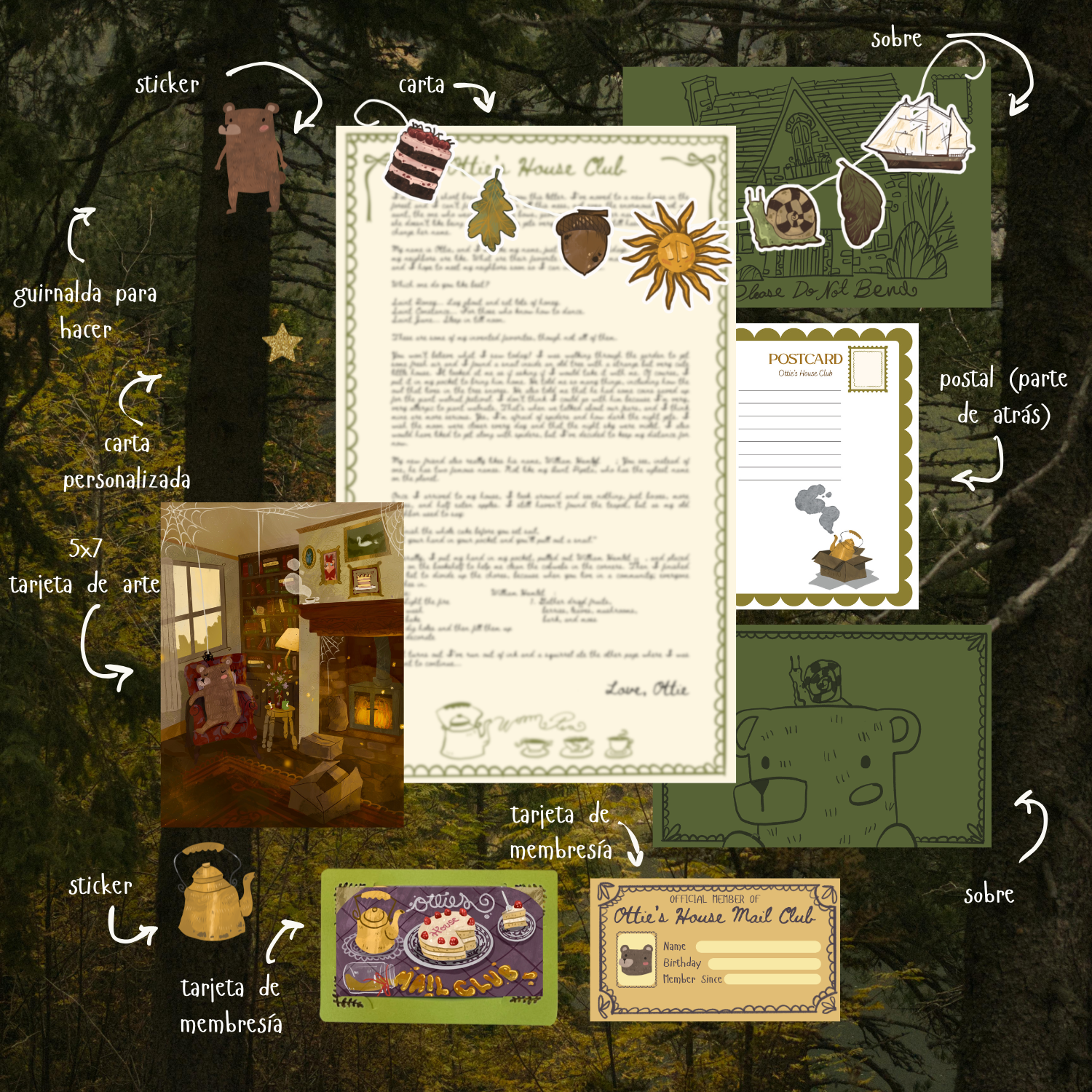 Mail Club Subscription (SPANISH)